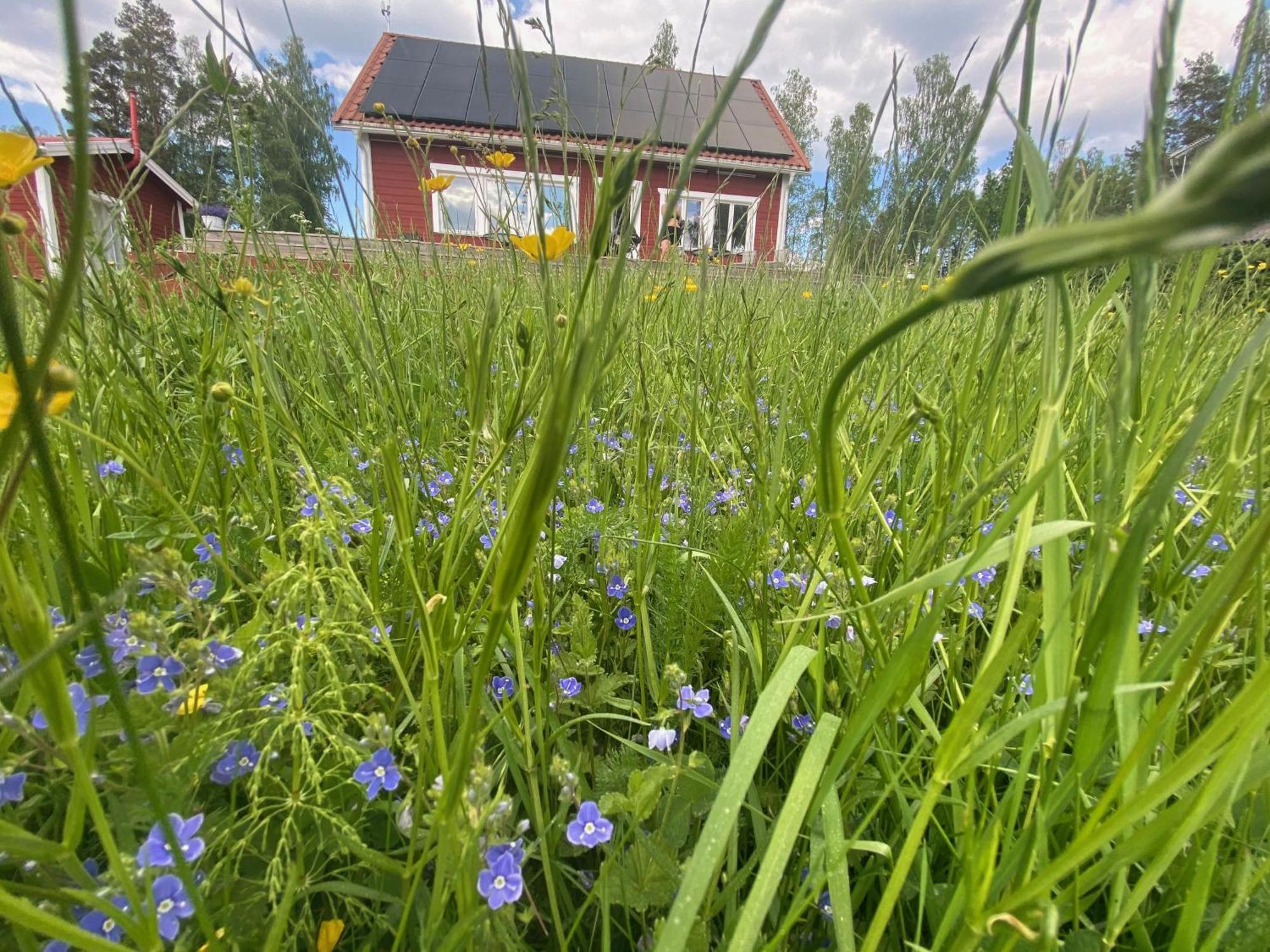 Stuga med sjöutsikt, stor altan, trygg bekvämt modernt Skinnskatteberg Exteriör bild