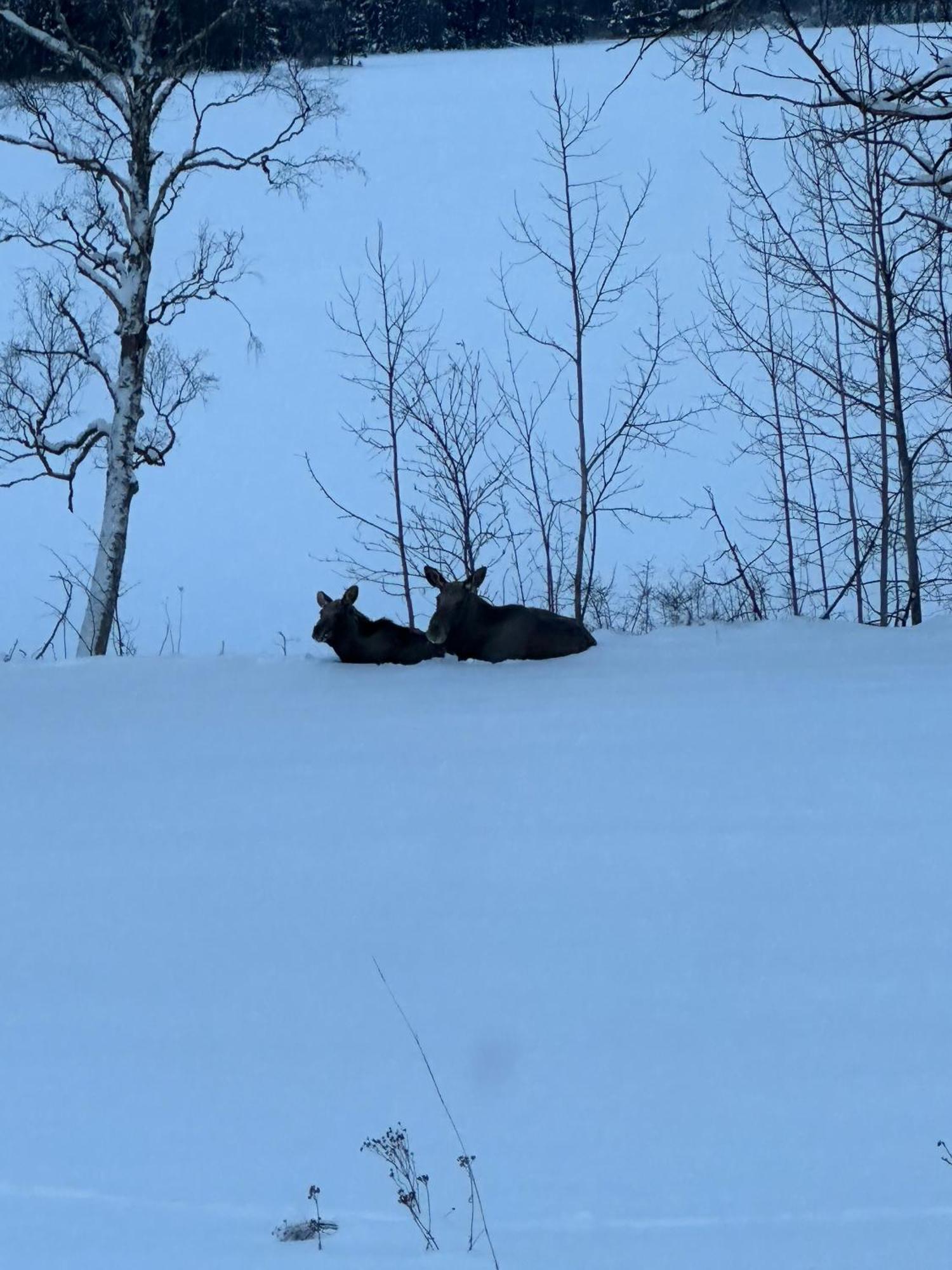 Stuga med sjöutsikt, stor altan, trygg bekvämt modernt Skinnskatteberg Exteriör bild
